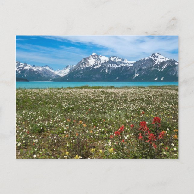 USA, Alaska, Glacier Bay National Park 2 Postkarte (Vorderseite)
