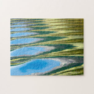 USA, Alaska, Glacier Bay National Park 5