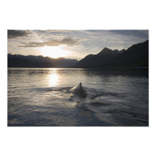 USA, Alaska, Glacier Bay National Park, Fotodruck