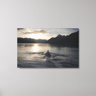 USA, Alaska, Glacier-Bay-Nationalpark, Leinwanddruck