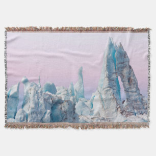 USA, Alaska, Glacier-Bay-Nationalpark. Margerie Decke