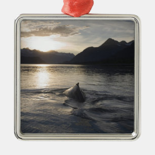 USA, Alaska, Glacier-Bay-Nationalpark, Ornament Aus Metall