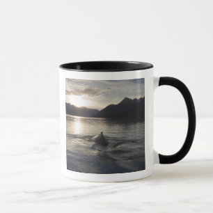 USA, Alaska, Glacier-Bay-Nationalpark, Tasse
