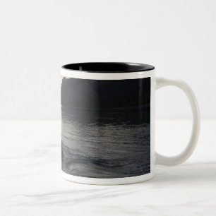 USA, Alaska, Glacier-Bay-Nationalpark, Zweifarbige Tasse