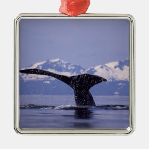 USA, Alaska, Inside Passage Buckelwal Silbernes Ornament