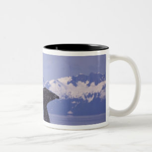 USA, Alaska, Inside Passage Buckelwal Zweifarbige Tasse