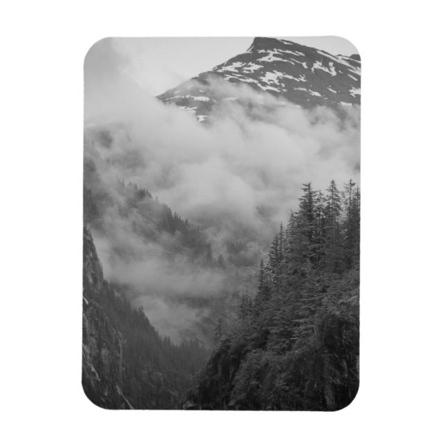 USA, Alaska, Juneau, Regenwald bedeckt Fjorde in Magnet (Vertikal)