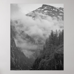 USA, Alaska, Juneau, Regenwald bedeckt Fjorde in Poster