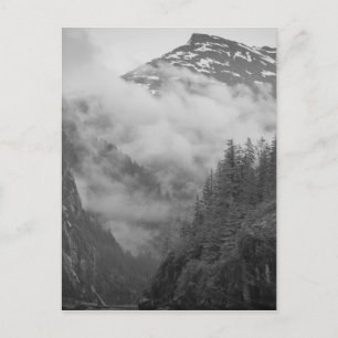 USA, Alaska, Juneau, Regenwald bedeckt Fjorde in Postkarte