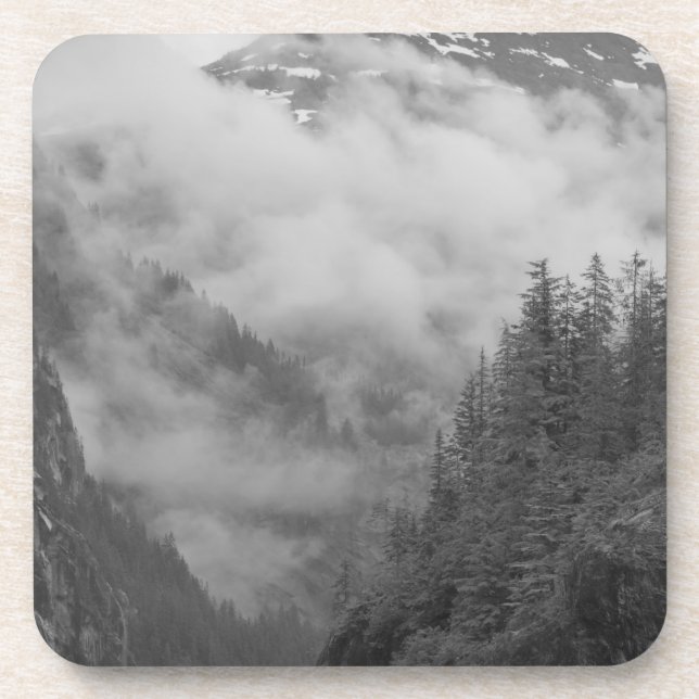 USA, Alaska, Juneau, Regenwald bedeckt Fjorde in Untersetzer (Vorderseite)
