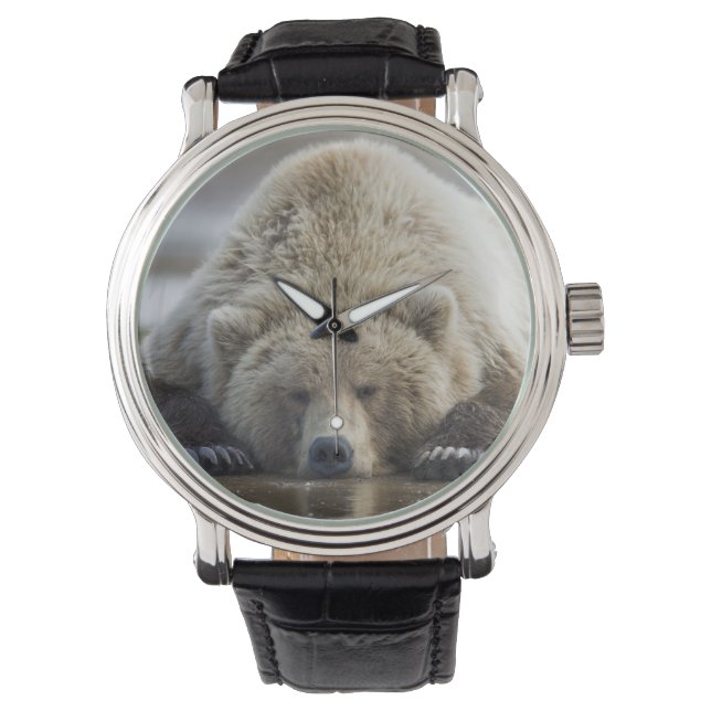 USA, Alaska, Katmai National Park, Brown Bear Armbanduhr (Vorderseite)