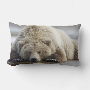 USA, Alaska, Katmai National Park, Brown Bear Lendenkissen