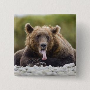 USA, Alaska, Katmai National Park, Kukak Bay, Button