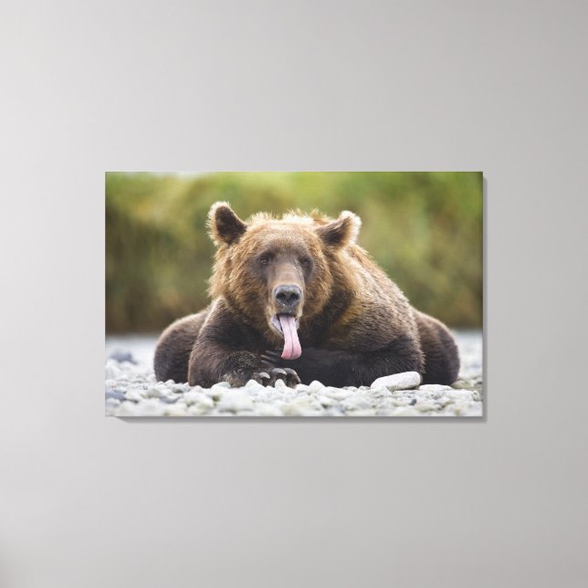 USA, Alaska, Katmai National Park, Kukak Bay, Leinwanddruck (Vorderseite)