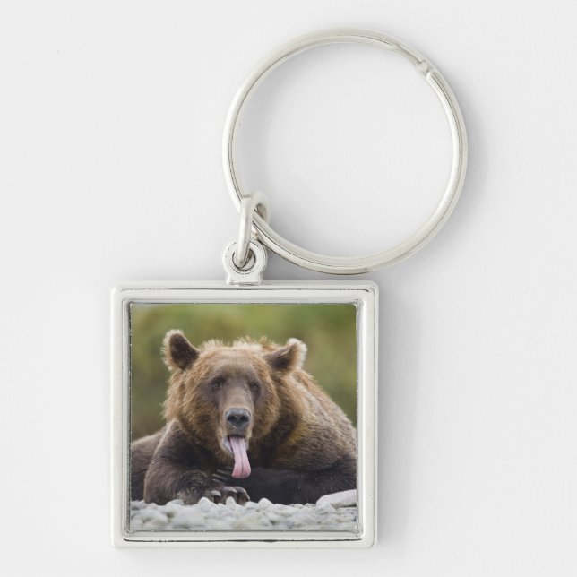 USA, Alaska, Katmai National Park, Kukak Bay, Schlüsselanhänger (Vorne)