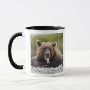 USA, Alaska, Katmai National Park, Kukak Bay, Tasse