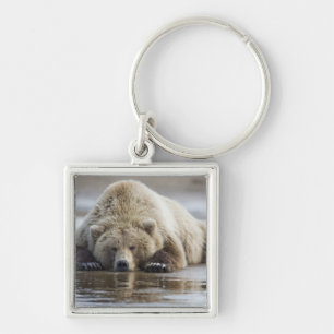 USA, Alaska, Katmai-Nationalpark, Braunbär Schlüsselanhänger