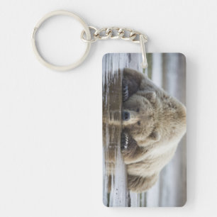 USA, Alaska, Katmai-Nationalpark, Braunbär Schlüsselanhänger