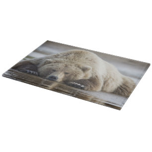 USA, Alaska, Katmai-Nationalpark, Braunbär Schneidebrett