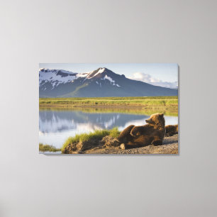 USA, Alaska, Katmai-Nationalpark, Braunbären Leinwanddruck