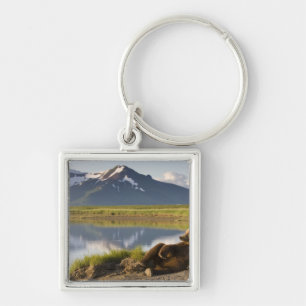 USA, Alaska, Katmai-Nationalpark, Braunbären Schlüsselanhänger