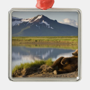 USA, Alaska, Katmai-Nationalpark, Braunbären Silbernes Ornament