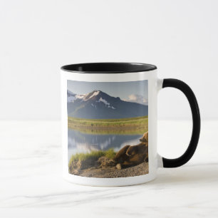USA, Alaska, Katmai-Nationalpark, Braunbären Tasse