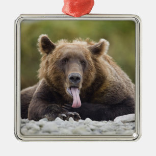USA, Alaska, Katmai Nationalpark, Kukak Bay, Silbernes Ornament