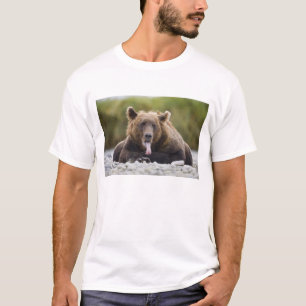 USA, Alaska, Katmai-Nationalpark, Kukak Bay, T-Shirt