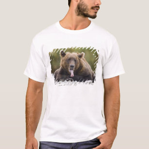 USA, Alaska, Katmai-Nationalpark, Kukak Bay, T-Shirt