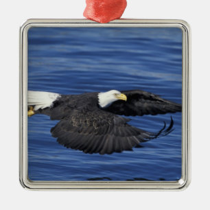 USA, Alaska, Kenai-Halbinsel Weißkopfseeadler Ornament Aus Metall