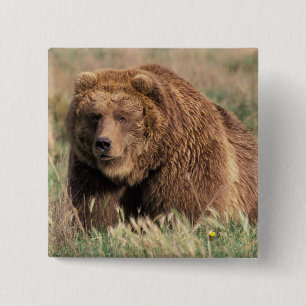 USA, Alaska, Kodiak Island, Button