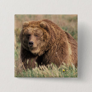 USA, Alaska, Kodiak Island, Button