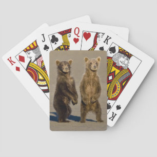 USA. Alaska. Küstenbraunbären-Jungtiere Spielkarten