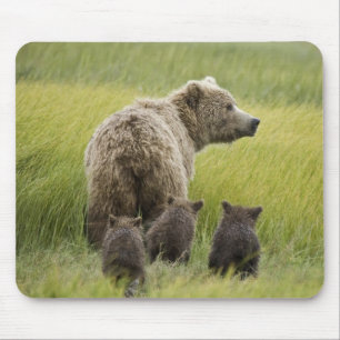 USA, Alaska, Lake Clark Nationalpark. Grizzly Mousepad
