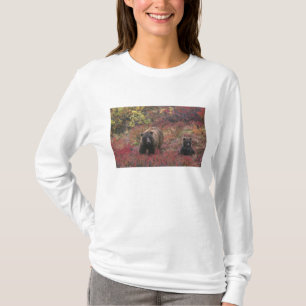 USA, Alaska, Nationalpark Denali. Grizzle T-Shirt