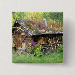 USA, Alaska, Nationalpark Denali, Kantishna. Button