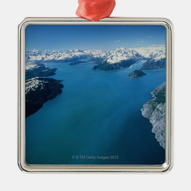 USA, Alaska, Nationalpark Glacier Bays, Silbernes Ornament (Vorne)