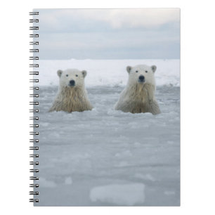 USA, Alaska, North Slope, Eisbären Notizblock