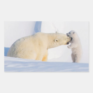 USA, Alaska, North Slope Eisbären Rechteckiger Aufkleber