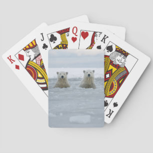USA, Alaska, North Slope, Eisbären Spielkarten