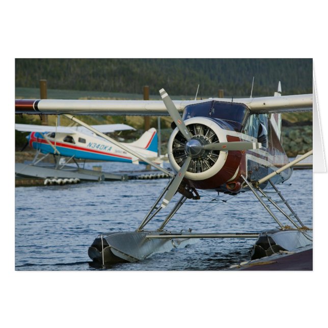 USA, ALASKA, sud-est de l'Alaska, KETCHIKAN : (Devant horizontal)