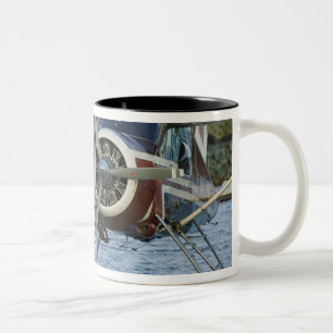 USA, ALASKA, Südost-Alaska, KETCHIKAN: Zweifarbige Tasse