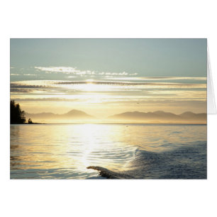 USA, Alaska, Südosten in der Nähe von Ketchikan, S