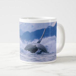 USA, Alaska, Tongass National Forest, Buckelwal Jumbo-Tasse