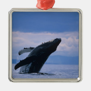 USA, Alaska, Tongass National Forest, Buckelwal Ornament Aus Metall
