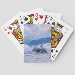 USA, Alaska, Tongass National Forest, Buckelwal Spielkarten