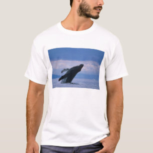 USA, Alaska, Tongass National Forest, Buckelwal T-Shirt
