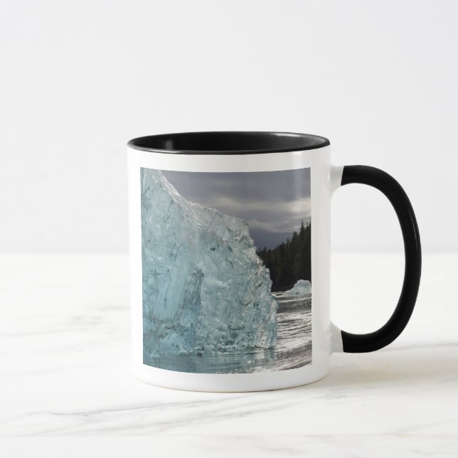 USA, Alaska, Tongass National Forest, Tracy 2 Tasse (Rechts)