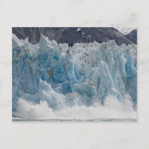 USA, Alaska, Tongass National Forest, Tracy Postkarte